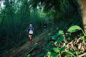 BIB: 
                            <button type="button" onclick="openModal(28124615)" class="btn btn-primary btn-sm float-right btn-popup" data-toggle="modal" data-target=".modal-high-quality">
                        <i class="fas fa-shopping-cart"></i> Add to Cart
                    </button>
                                            <button type="button" onclick="isThisMe(28124615, true)" class="btn btn-success btn-sm float-right btn-popup btn-isme hidden" data-toggle="tooltip" data-placement="bottom" title="นี่คือรูปของคุณใช่ไหม คลิกที่นี่เพื่อเอาเข้าอัลบั้ม">
                        <i class="fas fa-plus"></i> Add to album
                    </button>
                    <button type="button" onclick="isThisMe(28124615, false)" class="btn btn-warning btn-sm float-right btn-popup btn-isnotme hidden">
                        <i class="fas fa-ban"></i> Remove from album
                    </button>